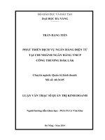 Phát triển dịch vụ ngân hàng điện tử tại ngân hàng TMCP công thương việt nam chi nhánh đắk lắk