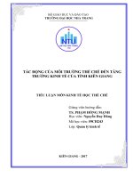 TIỂU LUẬN   tác ĐỘNG của môi TRƯỜNG THỂ CHẾ đến TĂNG TRƯỞNG KT ở KIÊN GIANG