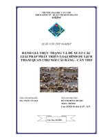 ĐÁNH GIÁ THỰC TRẠNG và đề XUẤT các GIẢI PHÁP PHÁT TRIỂN LOẠI HÌNH DU LỊCH THAM QUAN CHỢ nổi cái RĂNG   cần THƠ 