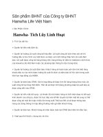 Sản phẩm công ty bảo hiểm Hanwa life ( file word)