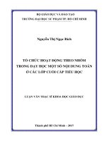 Tổ chức hoạt động theo nhóm trong dạy học một số nội dung Toán ở các lớp cuối cấp Tiểu học (Luận văn thạc sĩ)