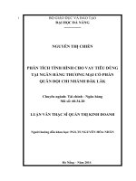 Phân tích tình hình cho vay tiêu dùng tại ngân hàng TMCP quân đội chi nhánh đăk lăk