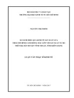 So sánh hiệu quả kinh tế sản xuất lúa của mô hình cánh đồng mẫu lớn với sản xuất tự do trên địa bàn huyện vĩnh thuận, tỉnh kiên giang 