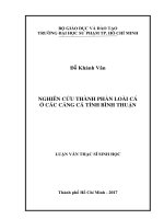 Nghiên cứu thành phần loài cá ở các cảng cá tỉnh Bình Thuận (Luận văn thạc sĩ)
