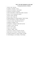 UNIT 6 english 7 vocab