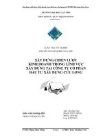 TỔNG hợp xây DỰNG CHIẾN lược KINH DOANH TRONG LĨNH vực xây DỰNG tại CÔNG TY cổ PHẦN đầu tư xây DỰNG cửu LONG 