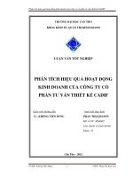 PHÂN TÍCH HIỆU QUẢ HOẠT ĐỘNG KINH DOANH của CÔNG TY cổ PHẦN tư vấn THIẾT kế CADIF 
