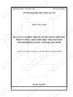 Quản lý tai biến trượt lở đất bằng phương pháp tường chắn khu biệt thự ban mai, thành phố hạ long, tỉnh quảng ninh (tt) 