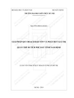 Giải pháp quy hoạch bảo tồn và phát huy giá trị quần thể di tích phủ dầy tỉnh nam định (tt) 