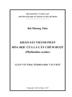 Khảo sát thành phần hóa học của lá cây chùm ruột (Phyllanthus acidus) (Luận văn thạc sĩ)