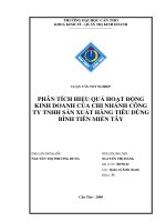 PHÂN TÍCH HIỆU QUẢ HOẠT ĐỘNG KINH DOANH của CHI NHÁNH CÔNG TY TNHH sản XUẤT HÀNG TIÊU DÙNG BÌNH TIÊN MIỀN tây 