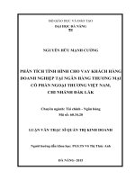 Phân tích tình hình cho vay khách hàng doanh nghiệp tại NH TMCP ngoại thương việt nam   chi nhánh đắklắk