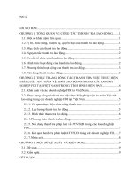 Thực trạng công tác thanh tra việc thực hiện pháp luật an toàn, vệ sinh lao động trong các doanh nghiệp FDI tại việt nam trong tình hình hiện nay