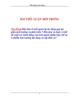 Hãy làm rõ mối quan hệ tác động qua lại giữa môi trường và phát triển  hãy đưa ra hoặc có thể đề xuất các hành động của loài người nhằm hạn chế sự ô nhiễm môi trường đã, đang và sắp diễn ra 