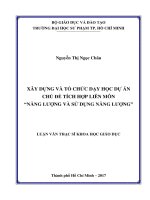 Xây dựng và tổ chức dạy học dự án chủ đề tích hợp liên môn “Năng lượng và sử dụng năng lượng” ở lớp 10 THPT (Luận văn thạc sĩ)