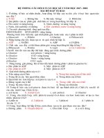 cau hoi on tap sinh hoc lop 10 hoc ki 2