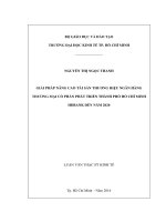 Giải pháp nâng cao tài sản thương hiệu ngân hàng thương mại cổ phần phát triển thành phố hồ chí minh HDBANK đến năm 2020 