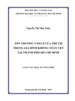 Tổn thương tâm lí của trẻ em trong gia đình không toàn vẹn tại thành phố Hồ Chí Minh (Luận văn thạc sĩ)