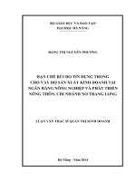 Hạn chế rủi ro tín dụng trong cho vay hộ sản xuất kinh doanh tại ngân hàng nông nghiệp và phát triển nông thôn chi nhánh nơ trang long