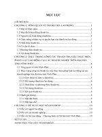 Thực trạng công tác thanh tra thực hiện pháp luật lao động tại các doanh nghiệp trên địa bàn tỉnh vĩnh phúc