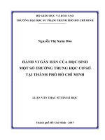 Hành vi gây hấn của học sinh một số trƣờng THCS tại Thành Phố Hồ Chí Minh (Luận văn thạc sĩ)