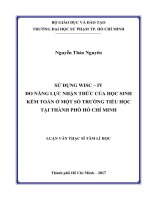 Sử dụng WISC IV đo năng lực nhận thức của học sinh kém Toán ở một số trường tiểu học tại Thành phos Hồ Chí Minh (Luận văn thạc sĩ)