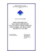 PHÂN TÍCH HIỆU QUẢ các HOẠT ĐỘNG KINH DOANH của các DNNVV THUỘC LĨNH vực CÔNG NGHIỆP   xây DỰNG TRÊN địa bàn THÀNH PHỐ cần THƠ 