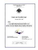 LUẬN văn LUẬT THƯƠNG mại các BIỆN PHÁP bảo đảm TIỀN VAY BẰNG tài sản TRONG HOẠT ĐỘNG tín DỤNG 