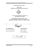 LUẬN văn LUẬT THƯƠNG mại bảo HIỂM xã hội ở VIỆT NAM một số vấn đề lý LUẬN và THỰC TIỄN 