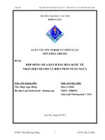 LUẬN văn LUẬT THƯƠNG mại hợp ĐỒNG MUA bán HÀNG hóa QUỐC tế  NHẬN DIỆN rủi RO và BIỆN PHÁP NGĂN NGỪA 