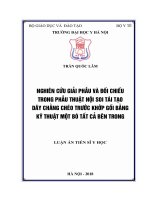 Nghiên cứu giải phẫu và đối chiếu trong phẫu thuật nội soi tái tạo dây chằng chéo trước khớp gối bằng kỹ thuật một bố tất cả bên trong (Luận án tiến sĩ)