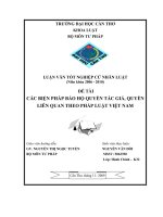 LUẬN văn LUẬT HÀNH CHÍNH các BIỆN PHÁP bảo hộ QUYỀN tác GIẢ, QUYỀN LIÊN QUAN THEO PHÁP LUẬT VIỆT NAM 