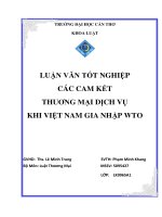 LUẬN văn LUẬT THƯƠNG mại các CAM kết THUƠNG mại DỊCH vụ KHI VIỆT NAM GIA NHẬP WTO 