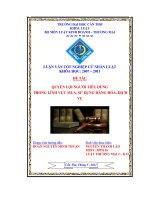 LUẬN văn LUẬT THƯƠNG mại QUYỀN lợi NGƯỜI TIÊU DÙNG TRONG LĨNH vực MUA, sử DỤNG HÀNG hóa, DỊCH vụ 