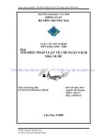 LUẬN văn LUẬT THƯƠNG mại tìm HIỂU PHÁP LUẬT về CHI NGÂN SÁCH NHÀ nước 