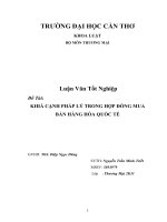 LUẬN văn LUẬT THƯƠNG mại KHIÁ CẠNH PHÁP lý TRONG hợp ĐỒNG MUA bán HÀNG hóa QUỐC tế 