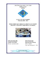 LUẬN văn LUẬT THƯƠNG mại HOÀN THIỆN QUY ĐỊNH của PHÁP LUẬT về đơn PHƯƠNG CHẤM dứt hợp ĐỒNG LAO ĐỘNG 