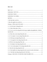 “Đánh giá tình hình thực hiện quy hoạch xây dựng Nông thôn mới xã Nam Cương, huyện Chợ Đồn, tỉnh Bắc Kạn”