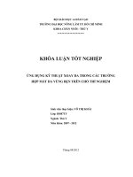 ỨNG DỤNG KỸ THUẬT XOAY DA TRONG CÁC TRƯỜNG HỢP MẤT DA VÙNG BẸN TRÊN CHÓ THÍ NGHIỆM