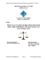 LUẬN văn LUẬT THƯƠNG mại PHÁP LUẬT về một số BIỆN PHÁP bảo đảm THỰC HIỆN hợp ĐỒNG tín DỤNG BẰNG tài sản ở VIỆT NAM 