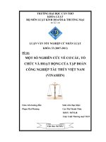 LUẬN văn LUẬT THƯƠNG mại một số NGHIÊN cứu về cơ cấu, tổ  CHỨC và HOẠT ĐỘNG của tập đoàn  CÔNG NGHIỆP tàu THỦY VIỆT NAM  (VINASHIN) 
