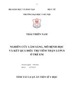 Nghiên cứu lâm sàng, mô bệnh học và kết quả điều trị viêm thận lupus ở trẻ em (TT)