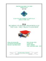 LUẬN văn LUẬT HÀNH CHÍNH hệ THỐNG văn bản QUY PHẠM PHÁP LUẬT VIỆT NAM –THỰC TRẠNG và GIẢI PHÁP 