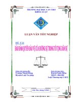 LUẬN văn LUẬT THƯƠNG mại bảo đảm QUYỀN bảo vệ của ĐƯƠNG sự TRONG tố TỤNG dân sự 