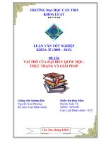 LUẬN văn LUẬT HÀNH CHÍNH VAI TRÒ của đại BIỂU QUỐC hội – THỰC TRẠNG và GIẢI PHÁP 