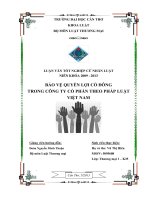 LUẬN văn LUẬT THƯƠNG mại bảo vệ QUYỀN lợi cổ ĐÔNG TRONG CÔNG TY cổ PHẦN THEO PHÁP LUẬT VIỆT NAM 