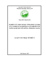 Nghiên cứu một số đặc tính sinh vật học của vi khuẩn Salmonella gây bệnh ở vịt nuôi tại huyện Yên Dũng, tỉnh Bắc Giang (Luận văn thạc sĩ)