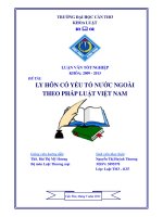 LUẬN văn LUẬT THƯƠNG mại LY hôn có yếu tốnước NGOÀI THEO PHÁP LUẬT VIỆT NAM 