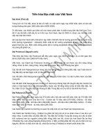 LỊCH SỬ ĐỊA CHẤT VIỆT NAM