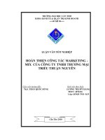 HOÀN THIỆN CÔNG tác MARKETING   MIX của CÔNG TY TNHH THƯƠNG mại TRIỀU THUẬN NGUYÊN 